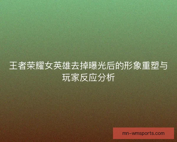 王者荣耀女英雄去掉曝光后的形象重塑与玩家反应分析 王者荣耀女英雄去掉曝光后的形象重塑与玩家反应分析