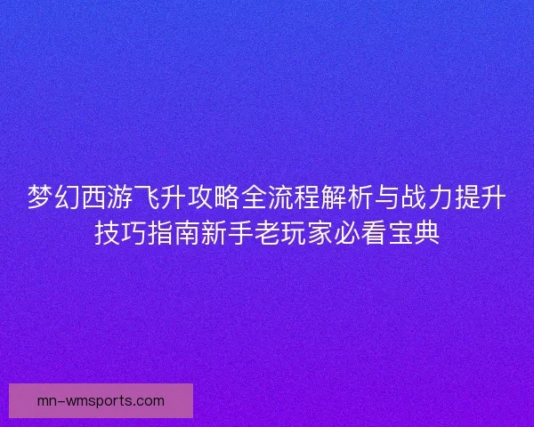 梦幻西游飞升攻略全流程解析与战力提升技巧指南新手老玩家必看宝典